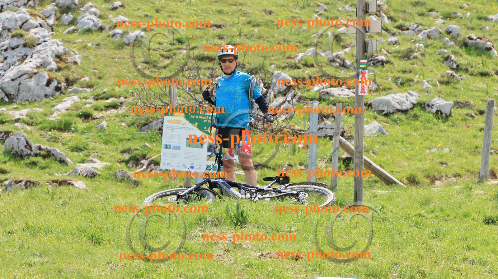 Col du grand Colombier (772).JPG