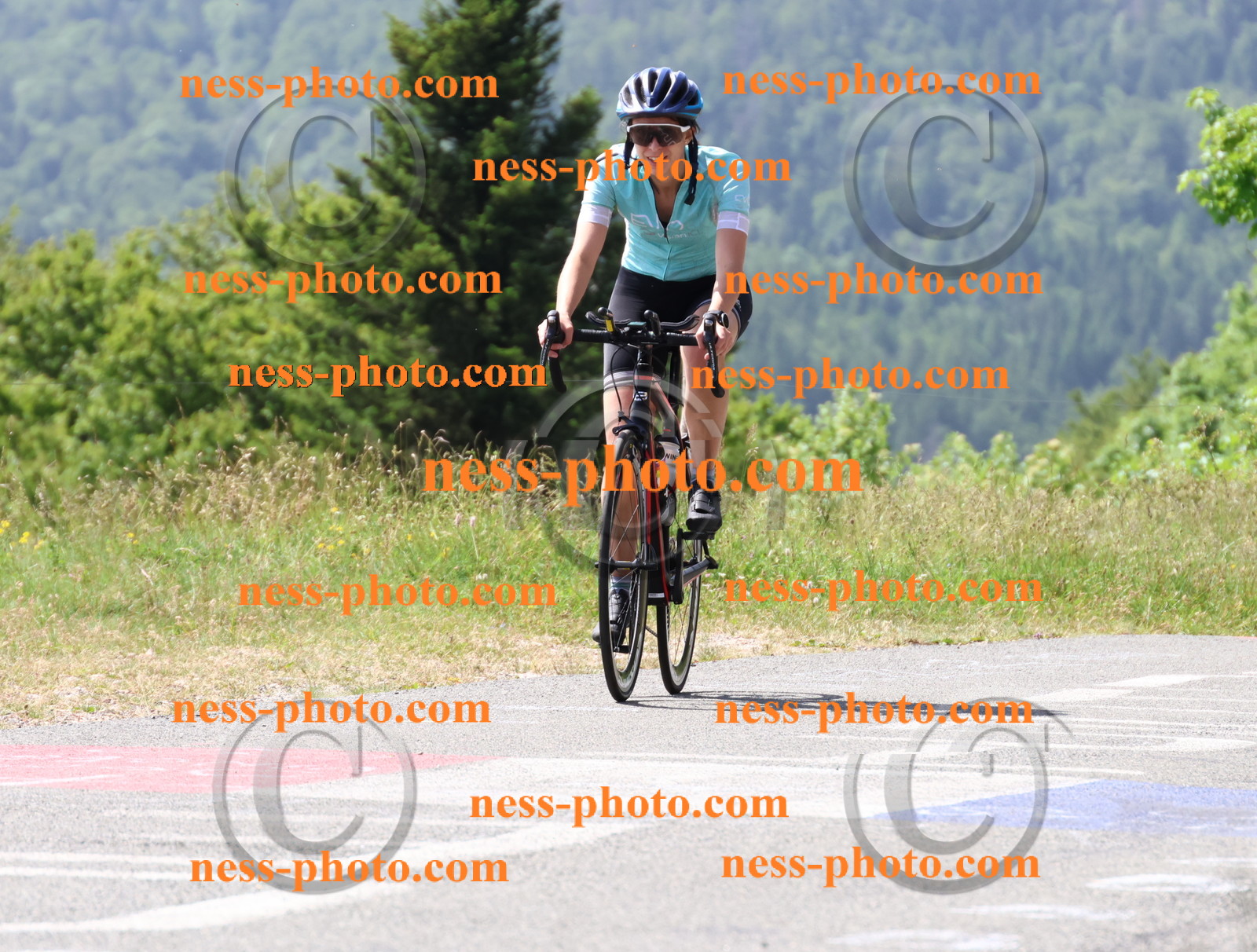 Col du grand Colombier (1509).JPG