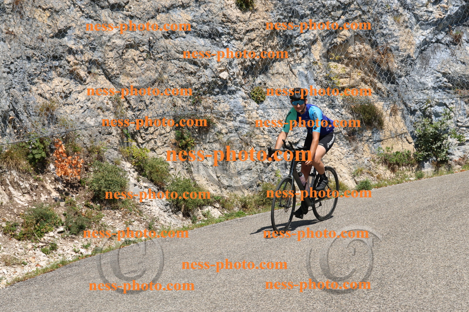 Col du Grand Colombier (501).JPG