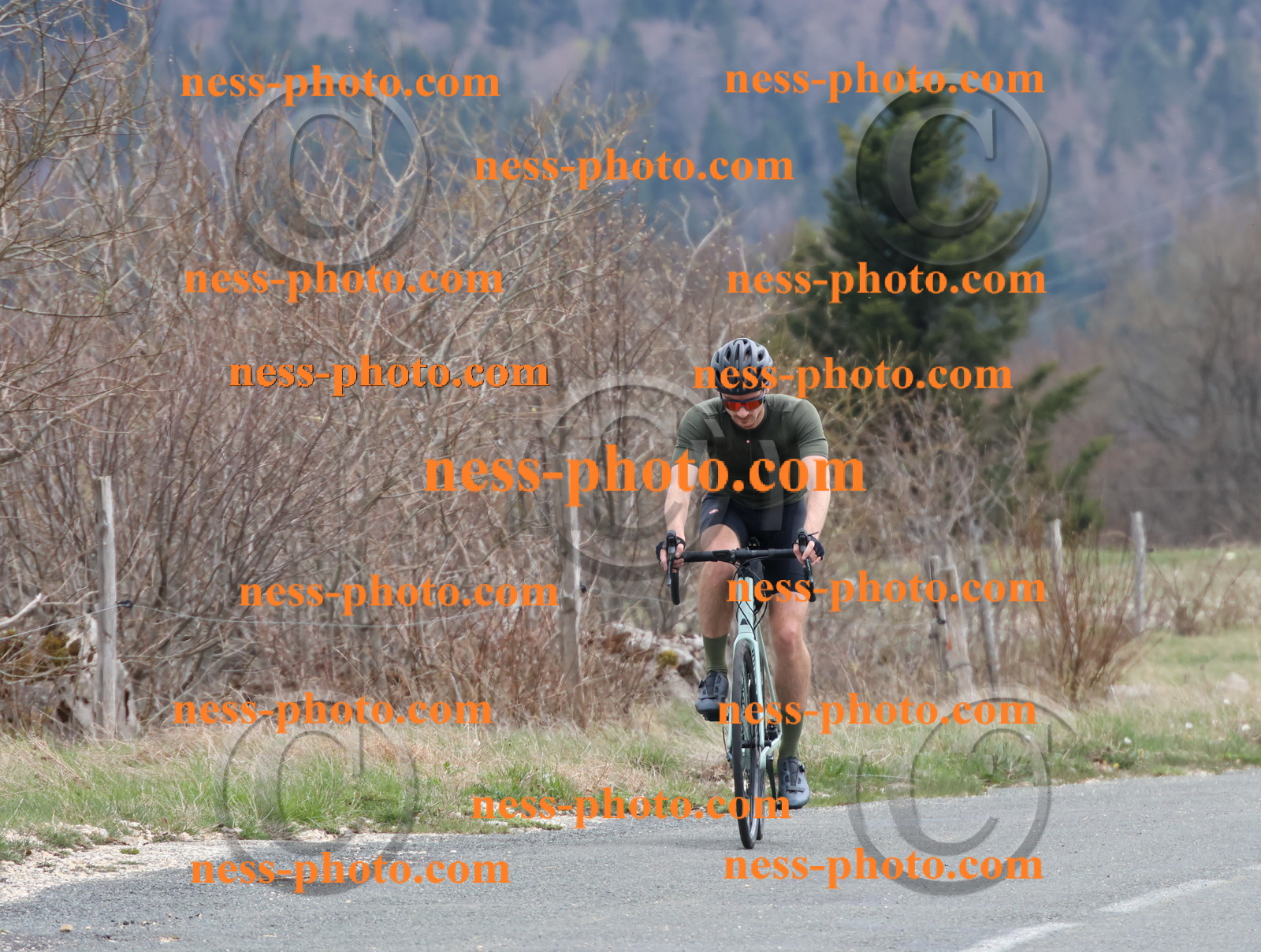 Col du Grand Colombier (413).JPG