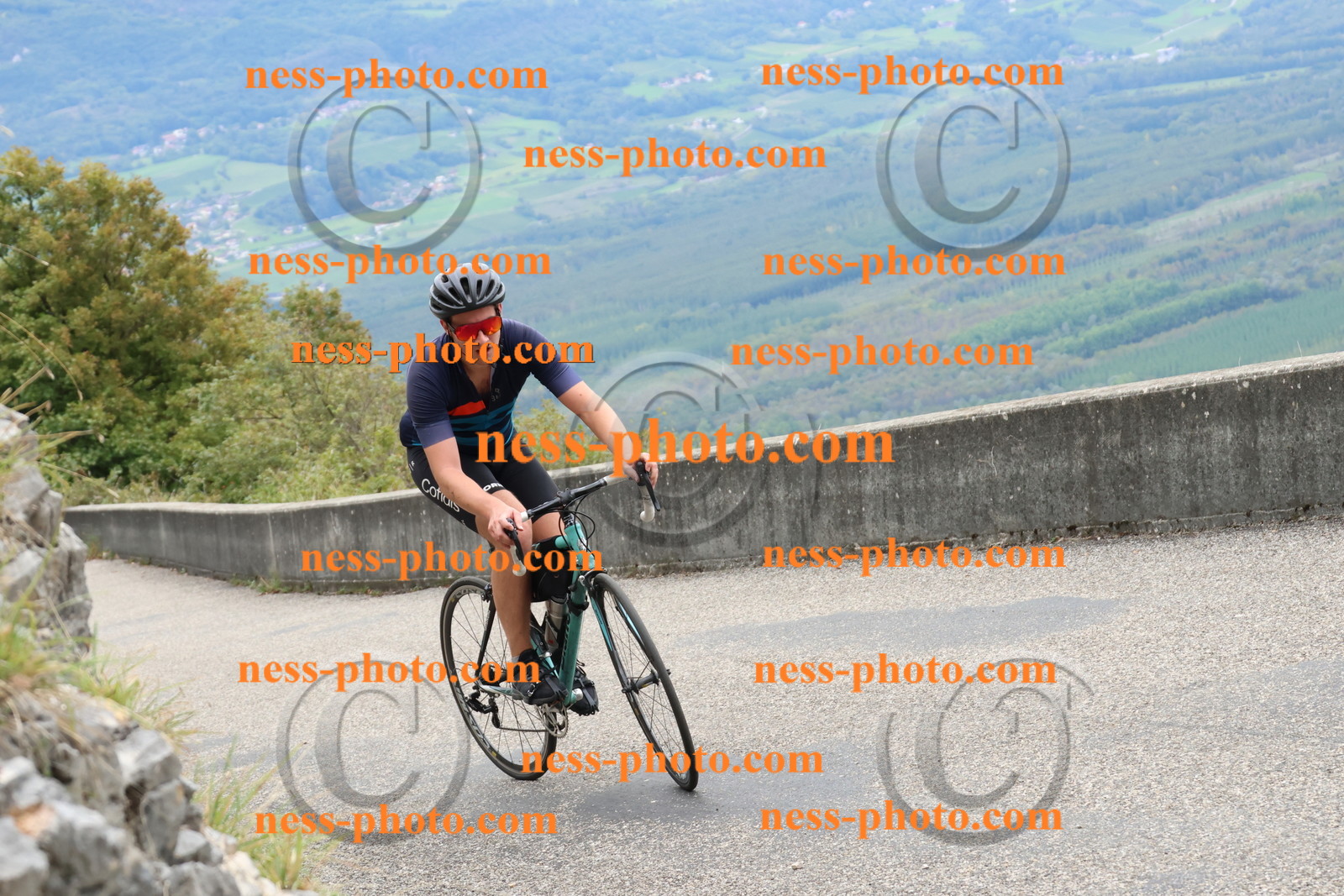Col du Grand Colombier (2872).JPG