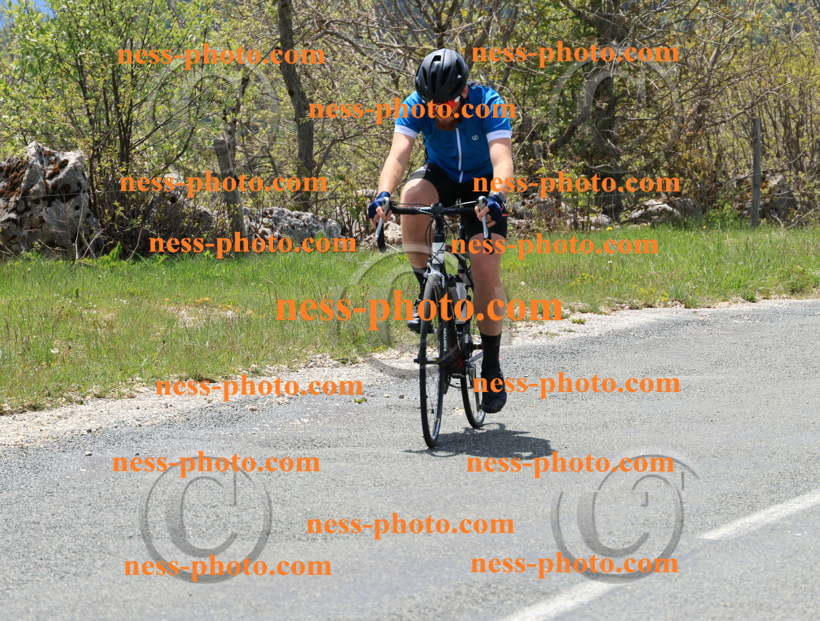 Col du Grand Colombier (297).JPG