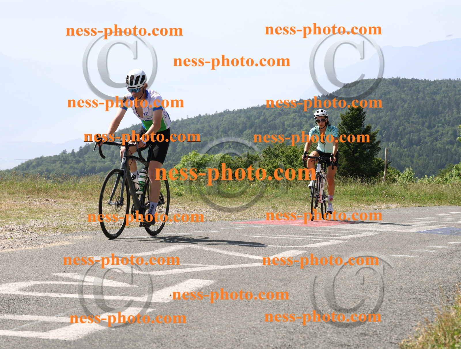 Col du grand Colombier (947).JPG