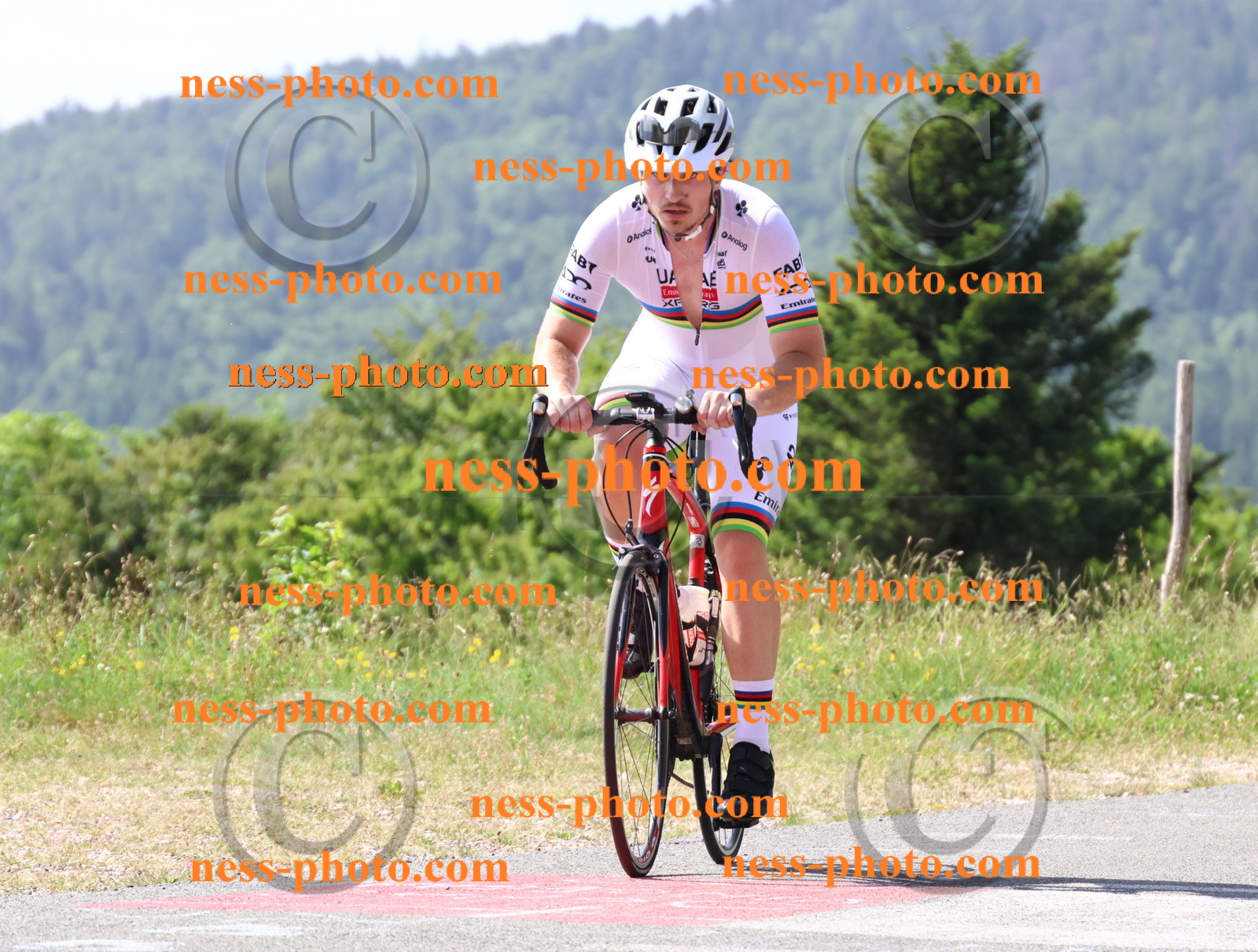 Col du grand Colombier (895).JPG