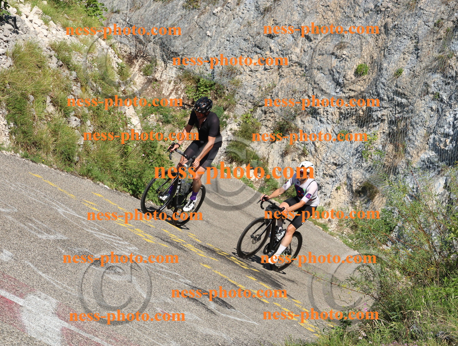 Col du Grand Colombier (145).JPG