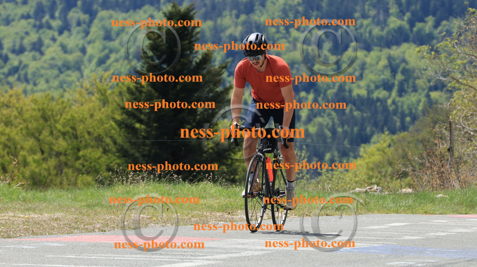 Col du grand Colombier (133).JPG