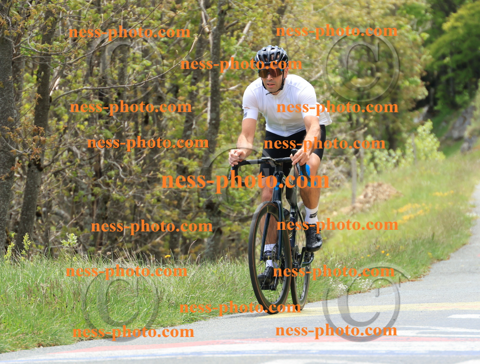 Col du Grand Colombier (505).JPG