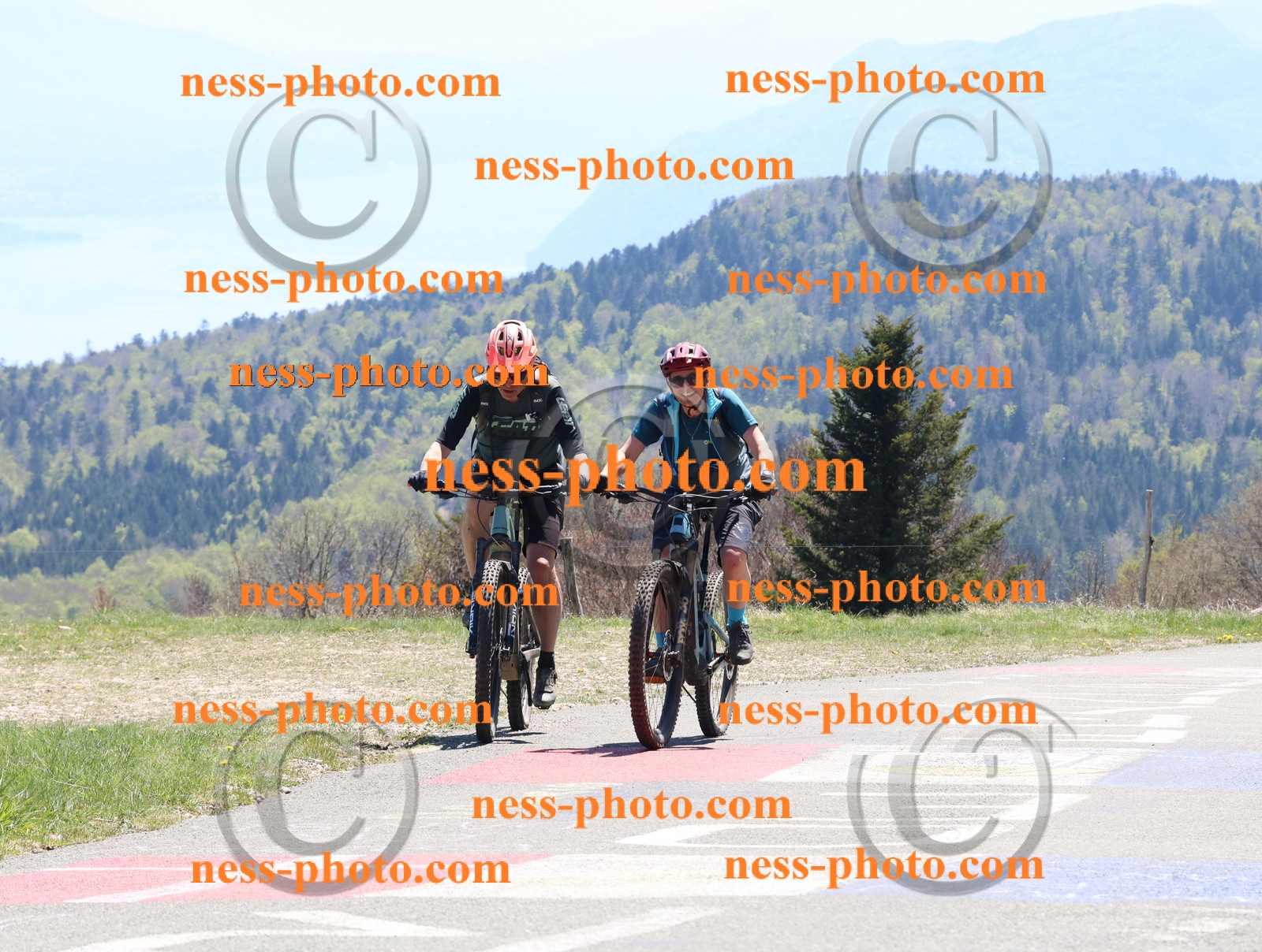 Col du Grand Colombier (737).JPG