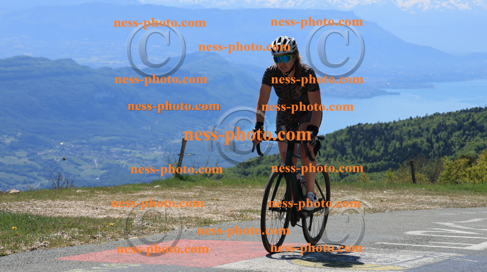 Col du grand Colombier (75).JPG