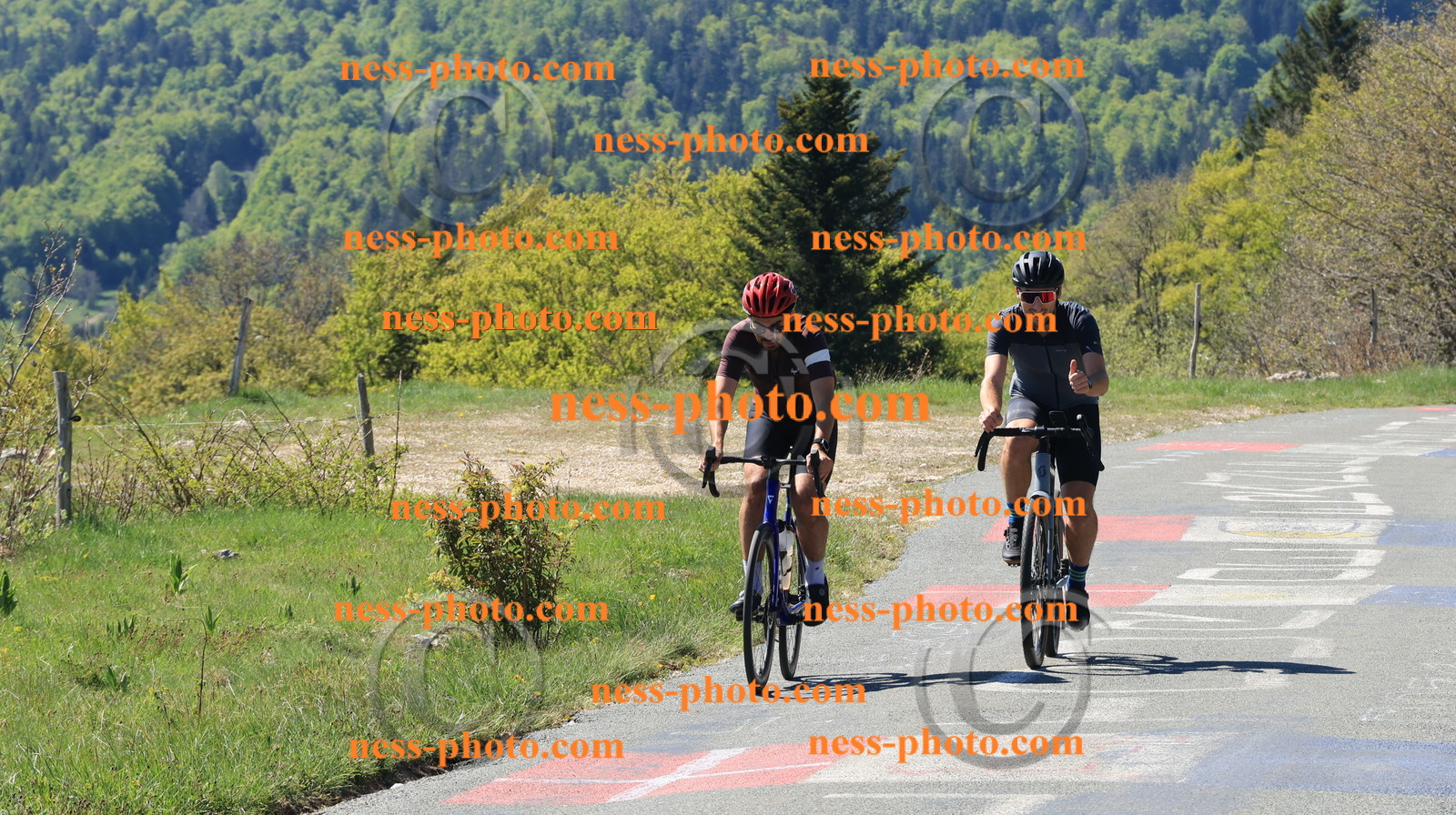 Col du grand Colombier (9).JPG