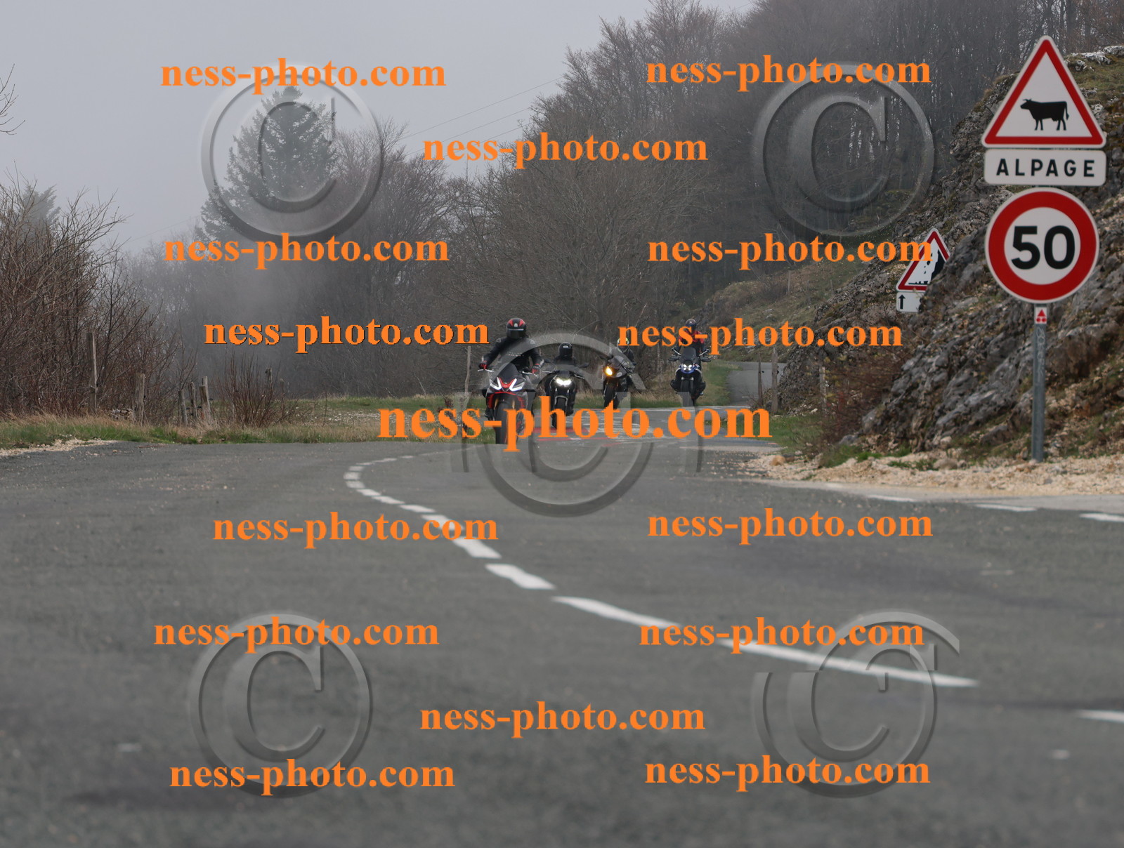 Col du Grand Colombier (4).JPG