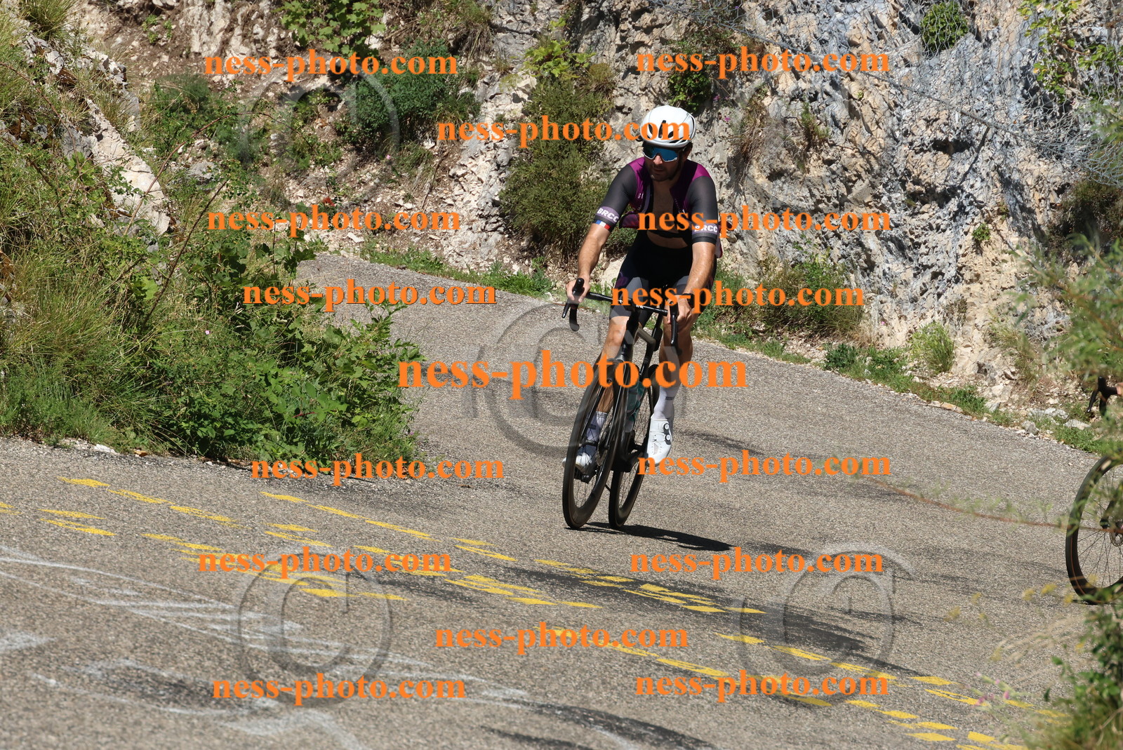 Col du Grand Colombier (564).JPG