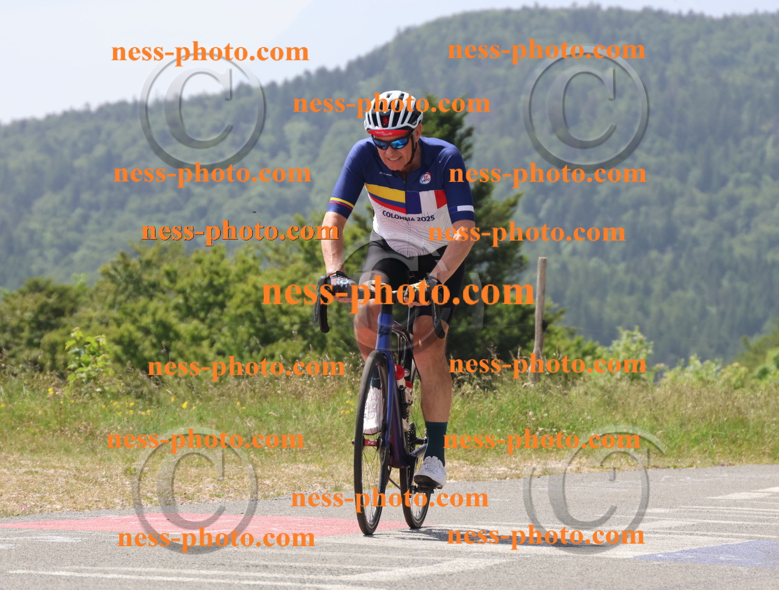 Col du grand Colombier (2171).JPG