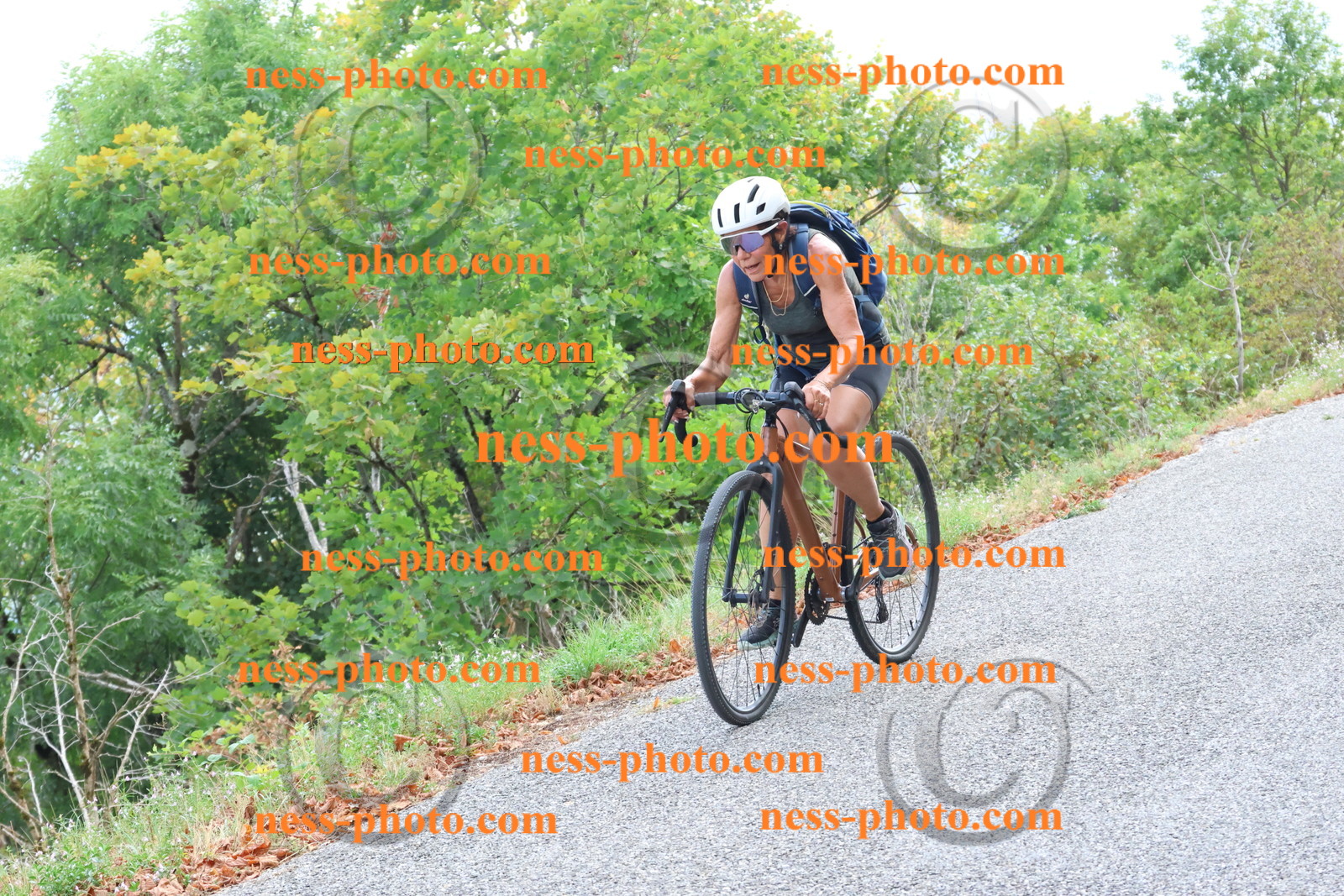 Col du Grand Colombier (729).JPG