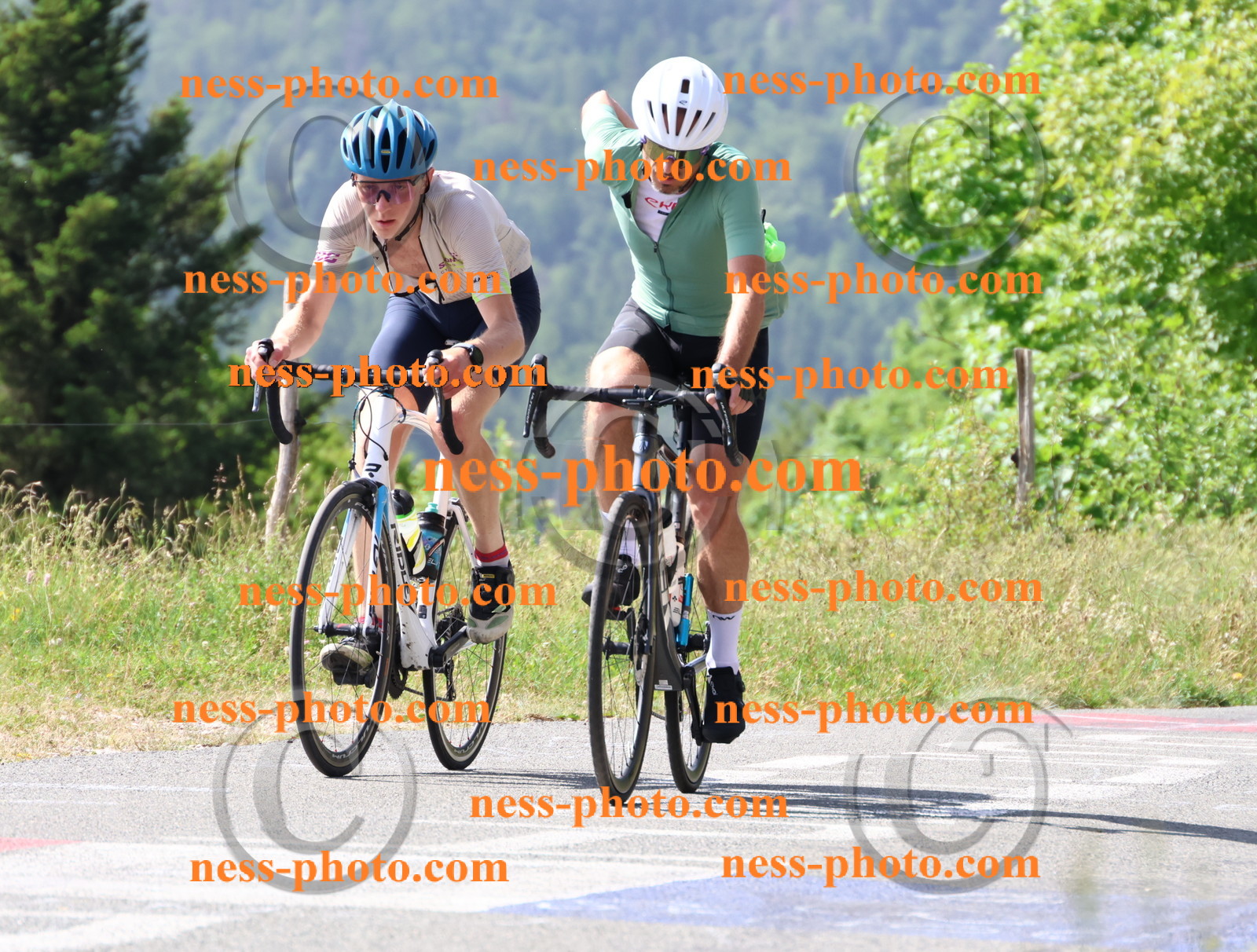 Col du grand Colombier (805).JPG