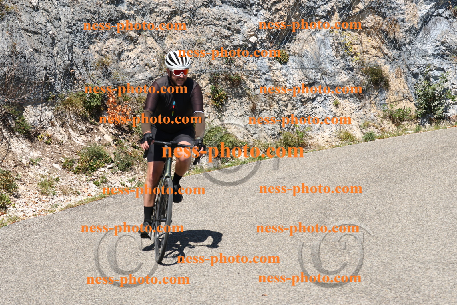 Col du Grand Colombier (402).JPG