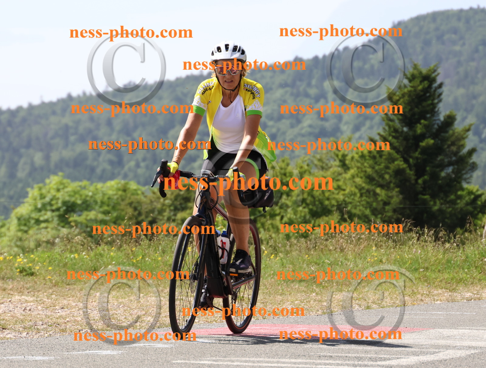 Col du grand Colombier (1493).JPG