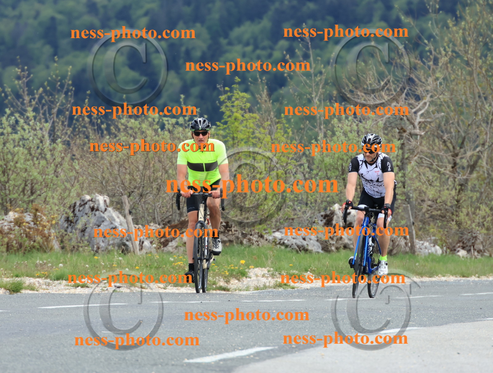 Col du grand Colombier (660).JPG