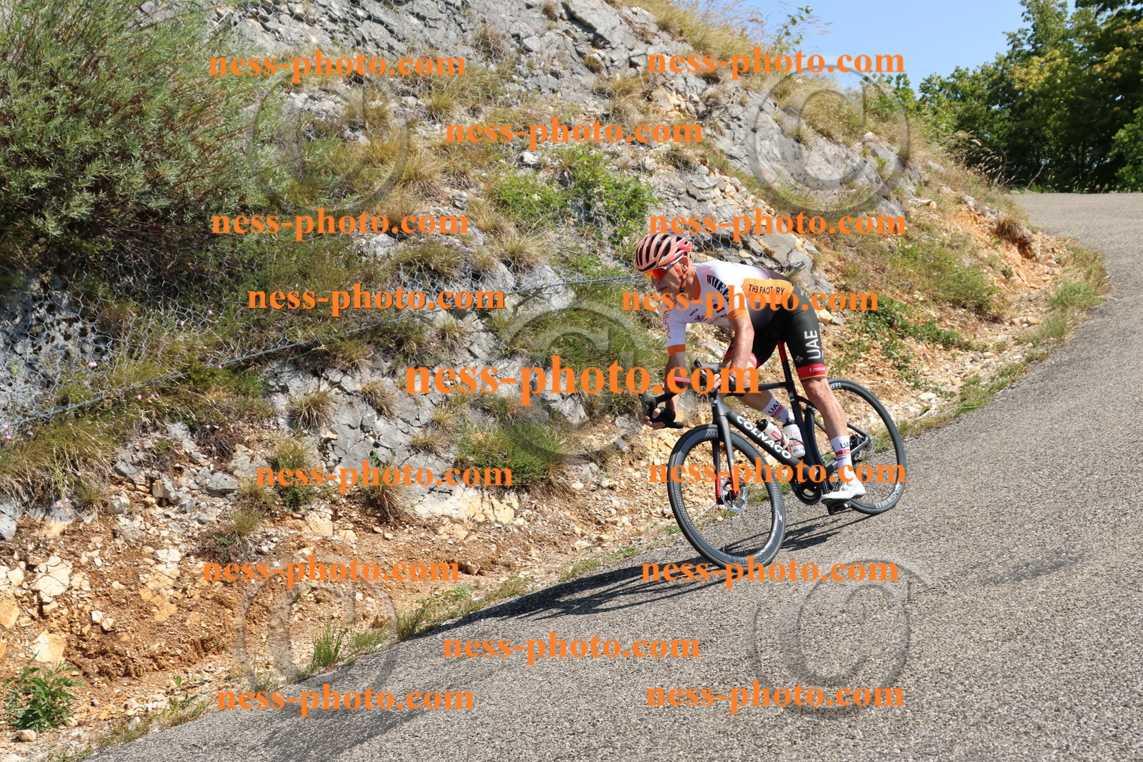 Col du Grand Colombier (380).JPG