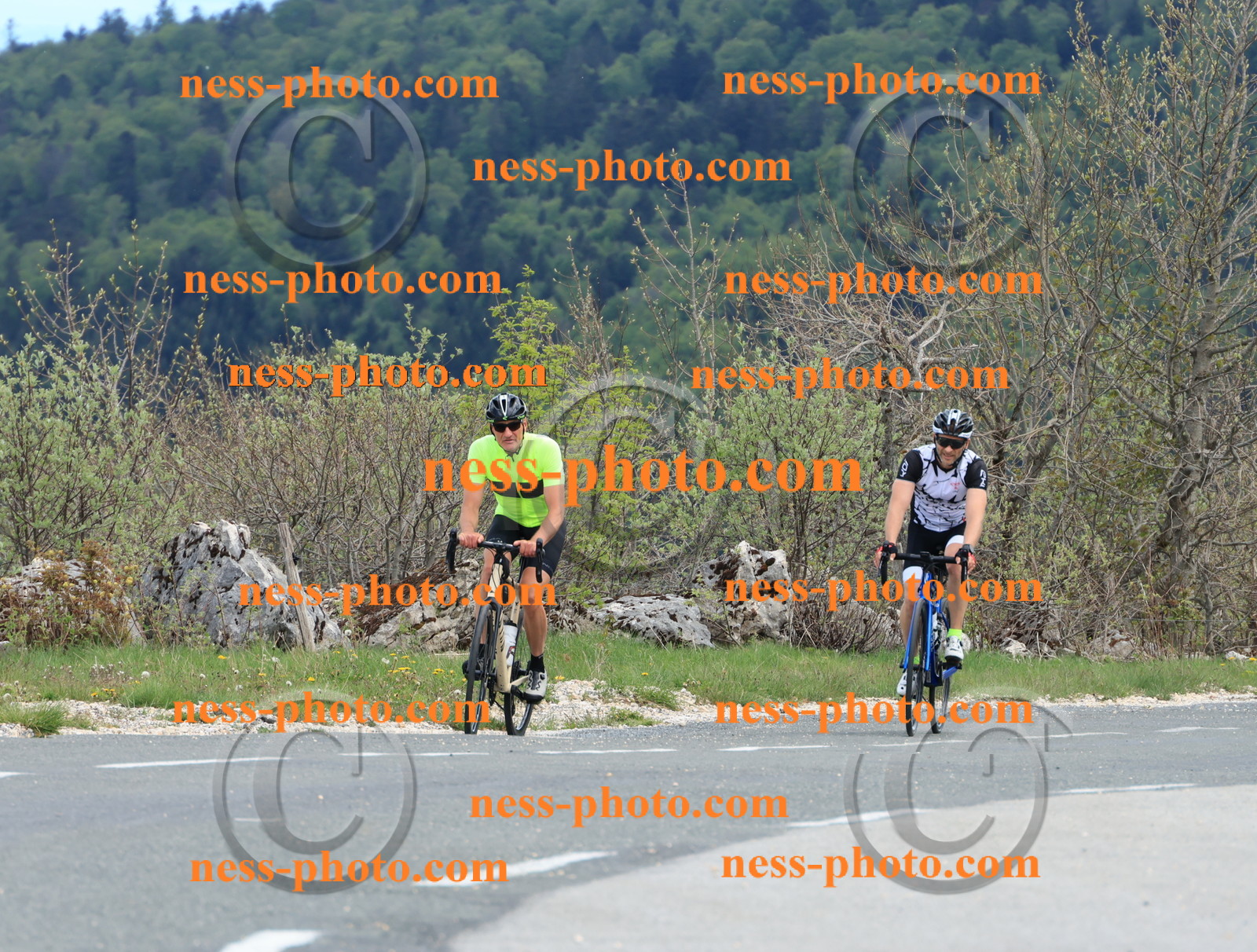 Col du grand Colombier (659).JPG