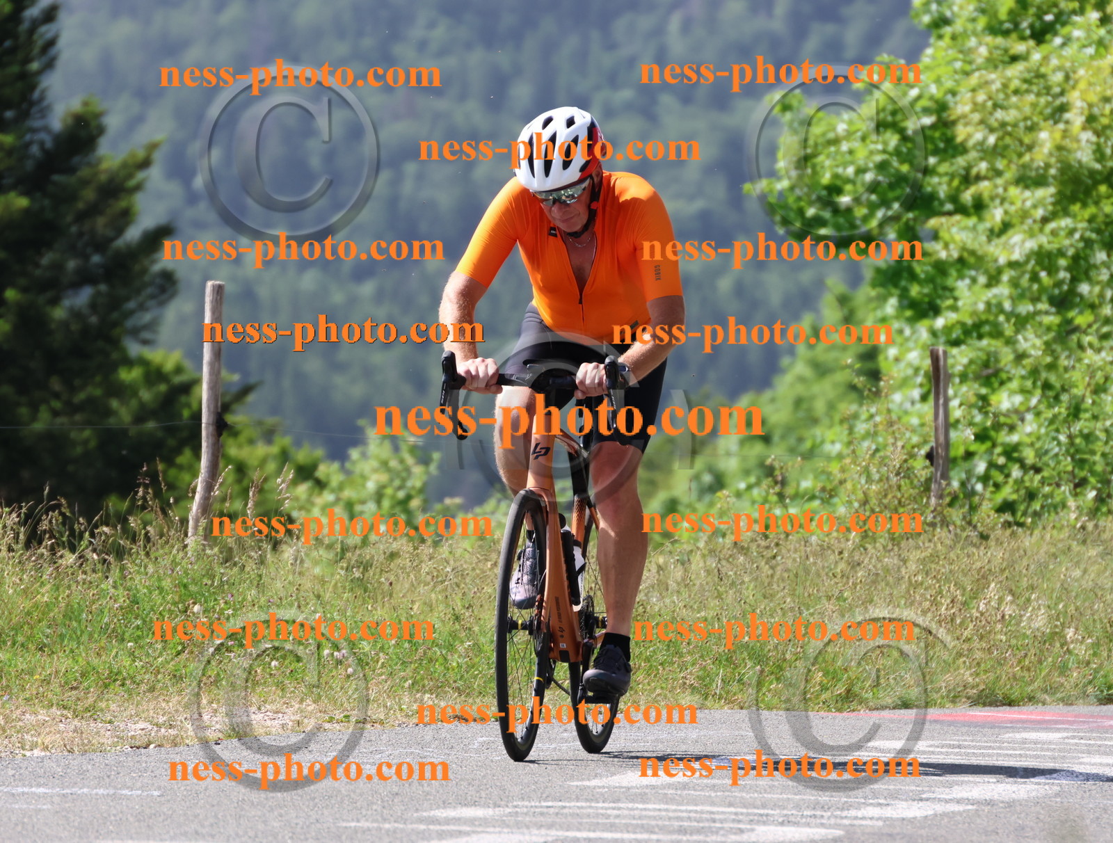 Col du grand Colombier (912).JPG