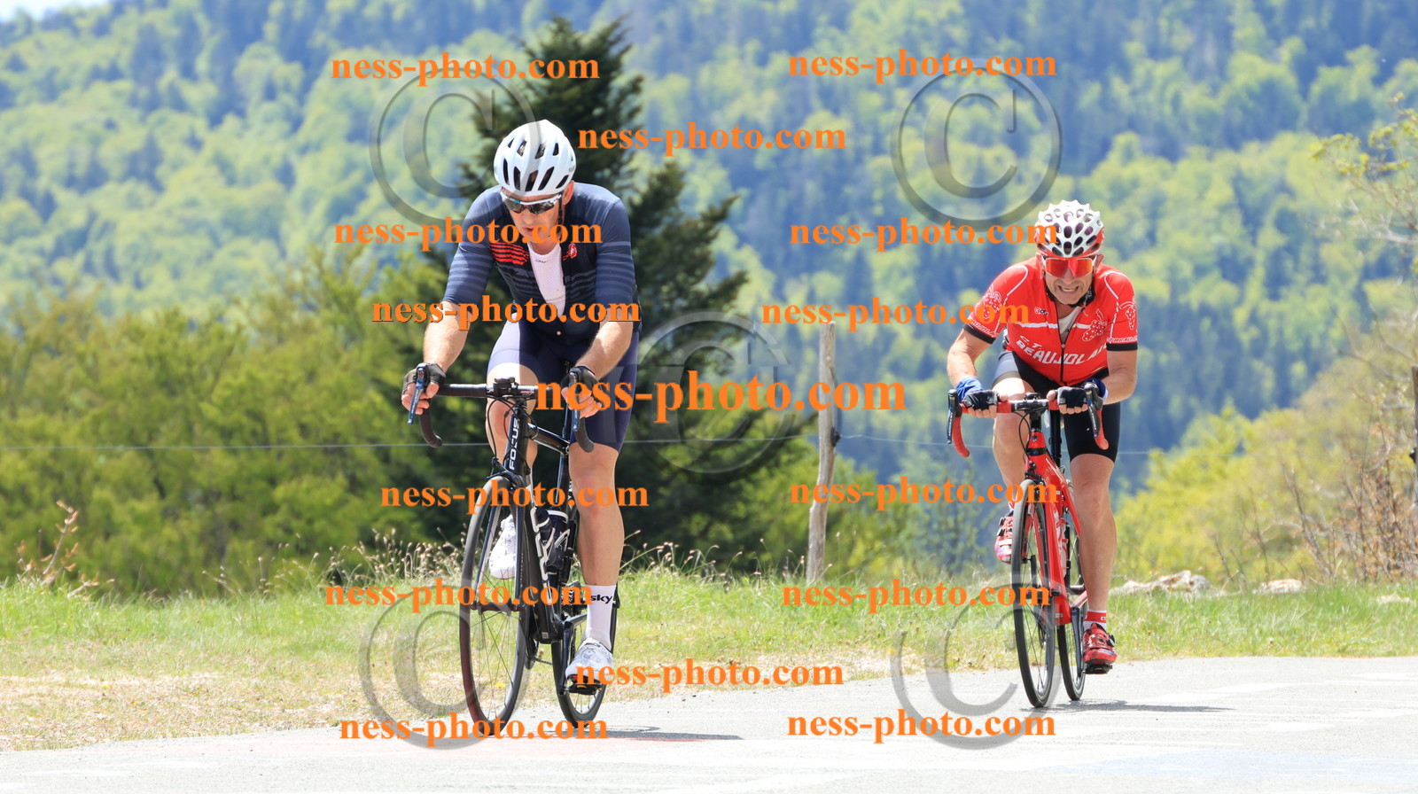 Col du grand Colombier (223).JPG