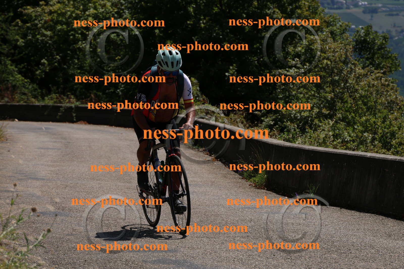 Col du Grand Colombier (220).JPG