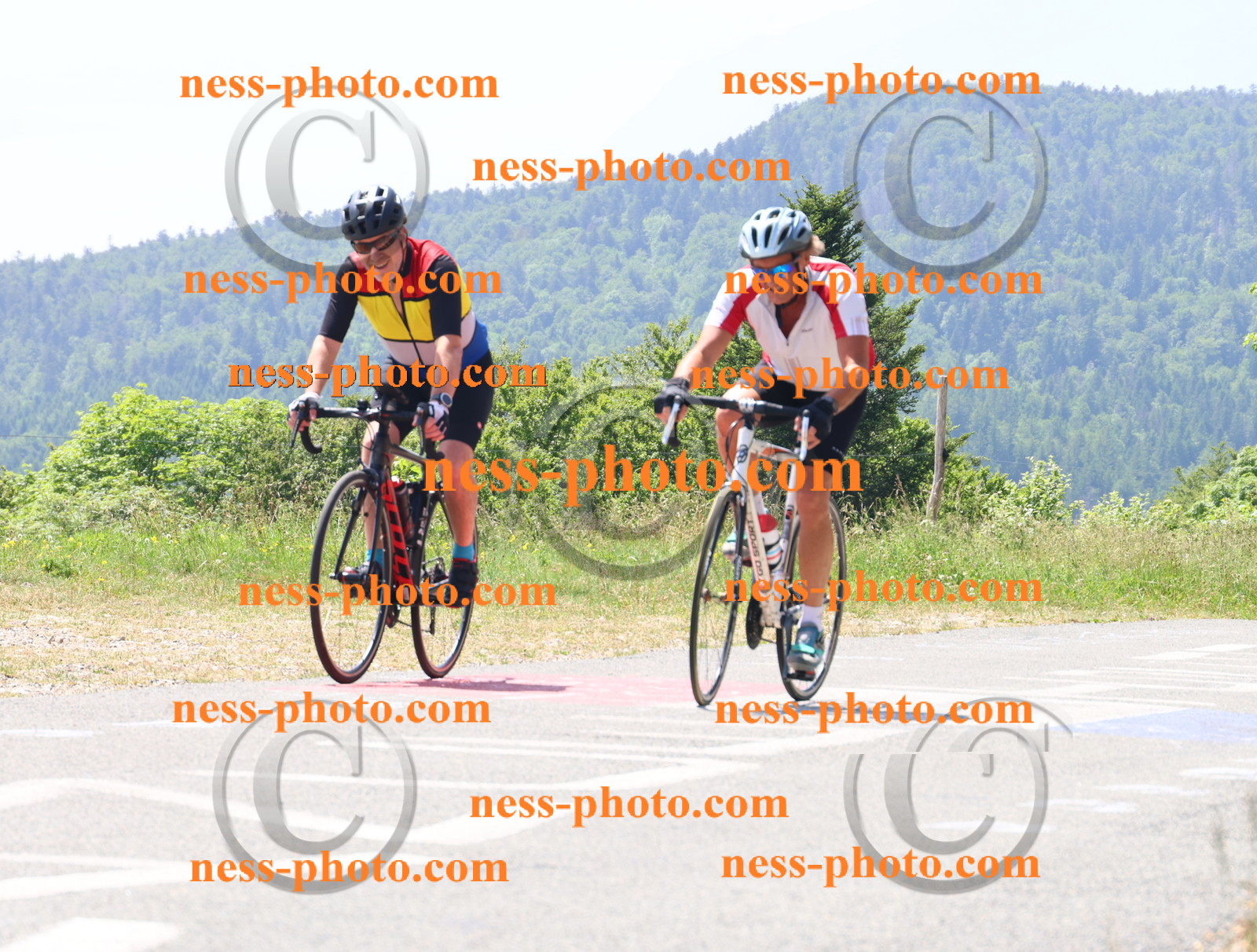 Col du grand Colombier (2475).JPG