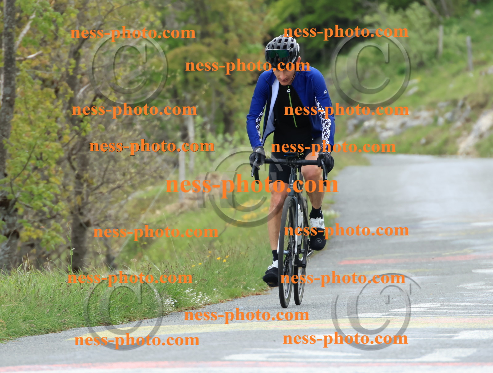 Col du Grand Colombier (517).JPG