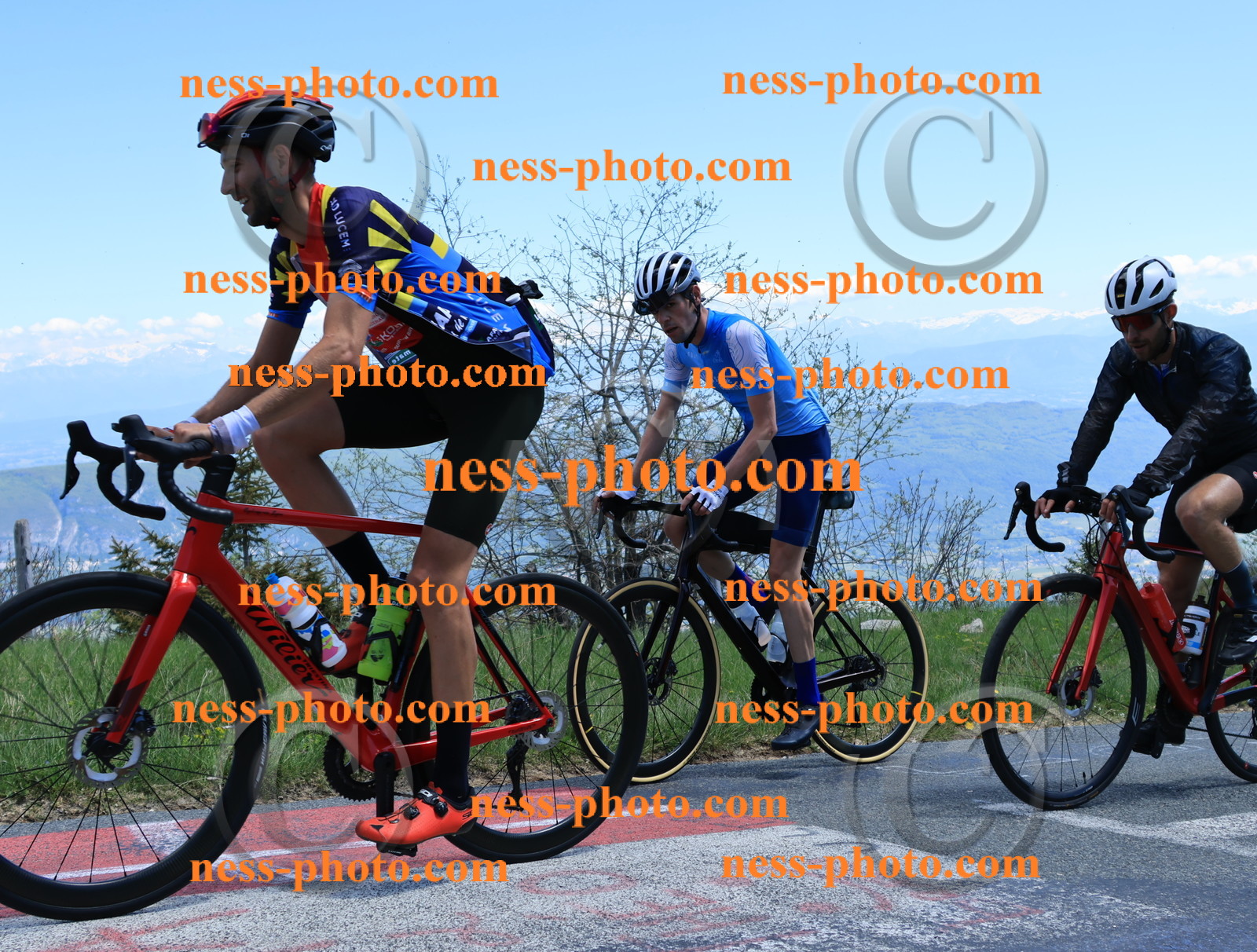 Col du Grand Colombier (482).JPG