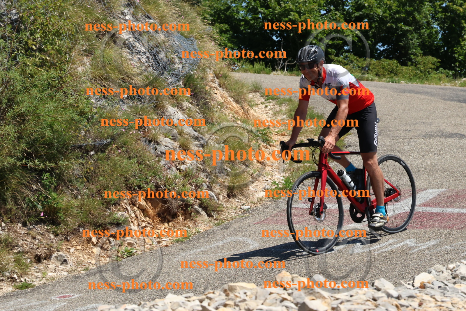 Col du Grand Colombier (559).JPG