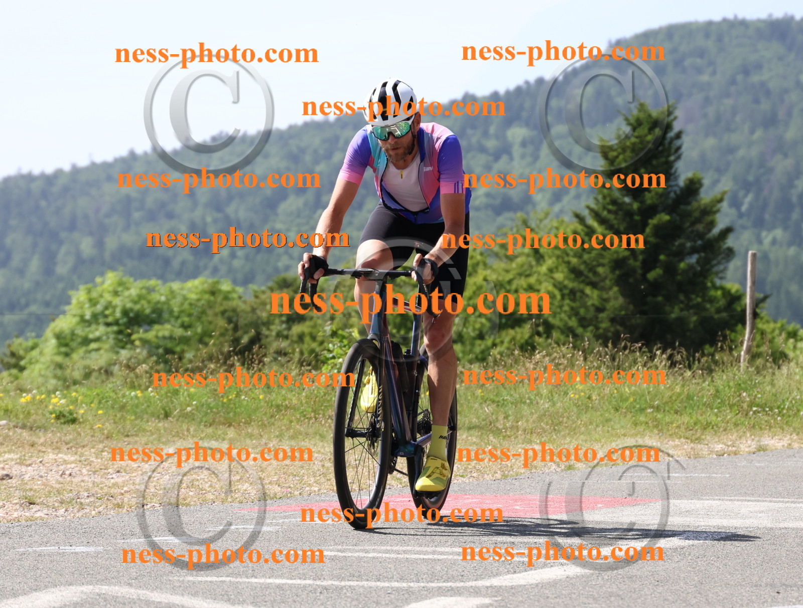 Col du grand Colombier (997).JPG