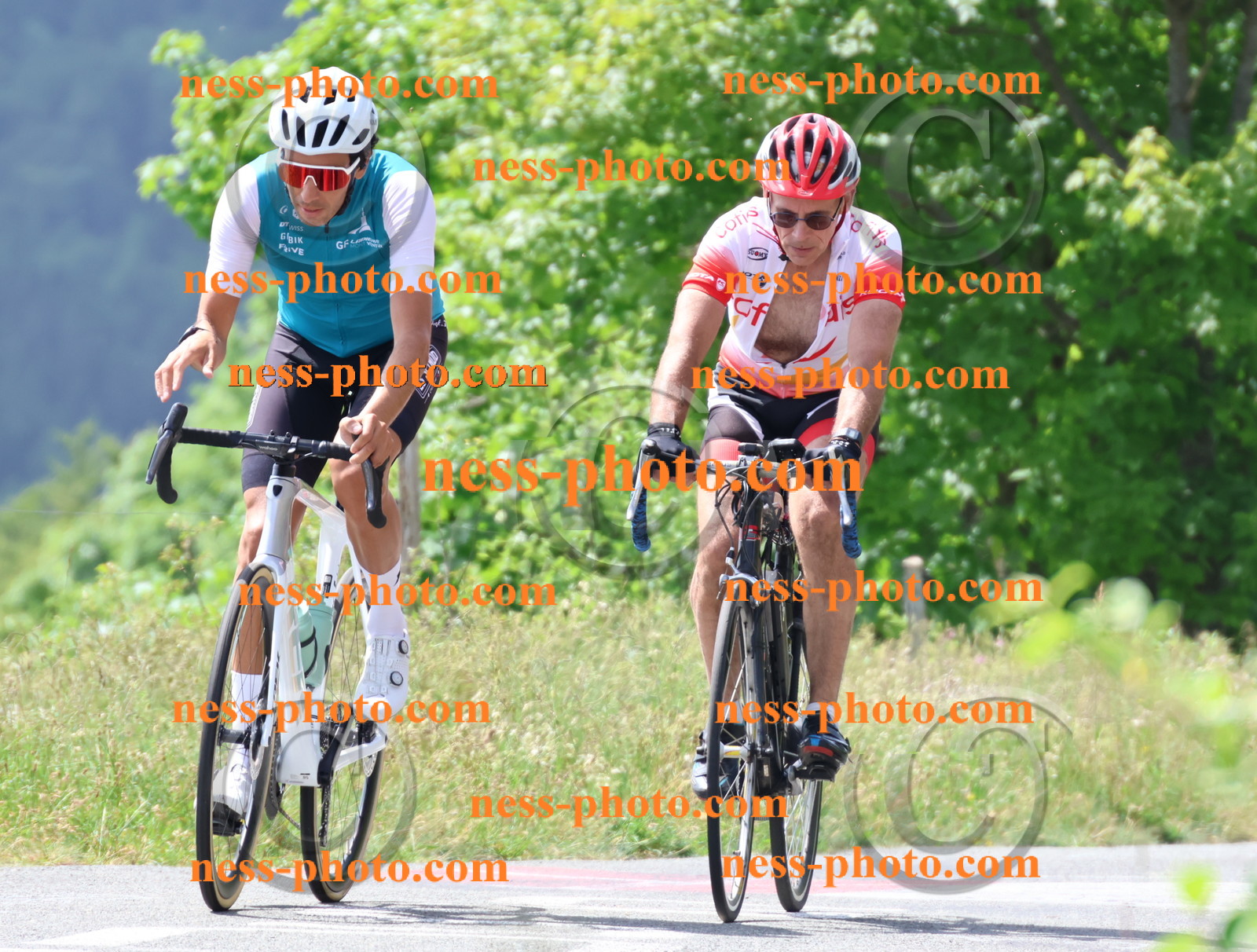 Col du grand Colombier (1858).JPG