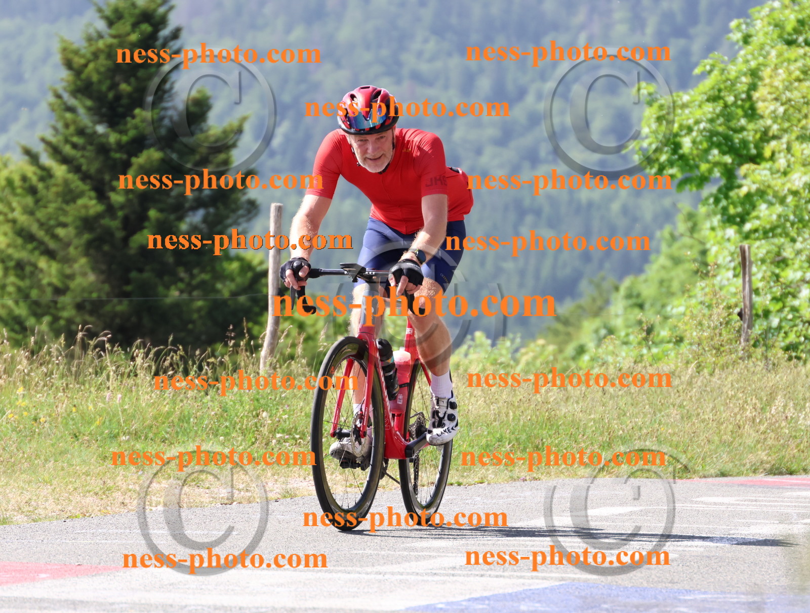 Col du grand Colombier (663).JPG