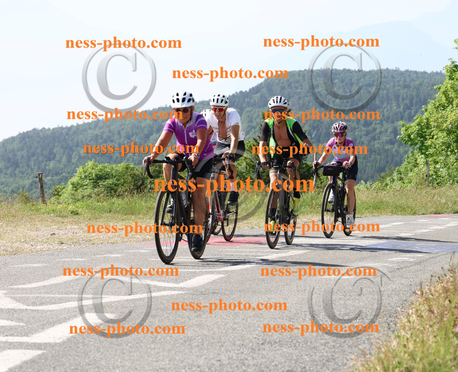 Col du grand Colombier (609).JPG