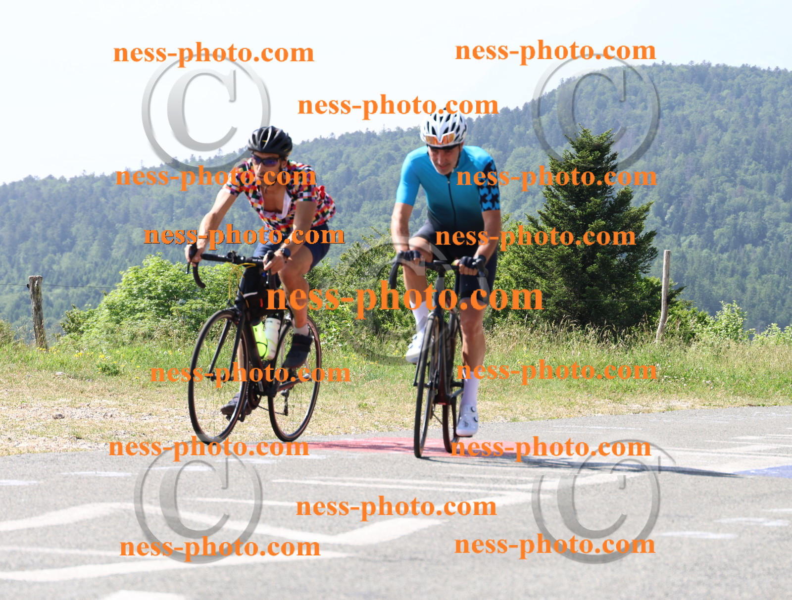 Col du grand Colombier (855).JPG