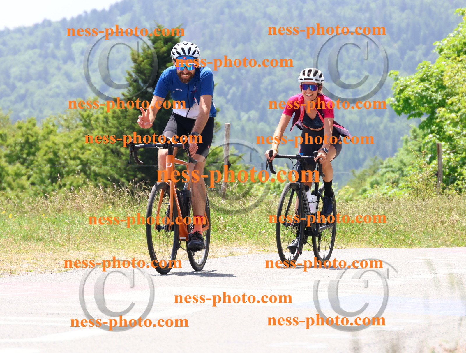 Col du grand Colombier (2793).JPG