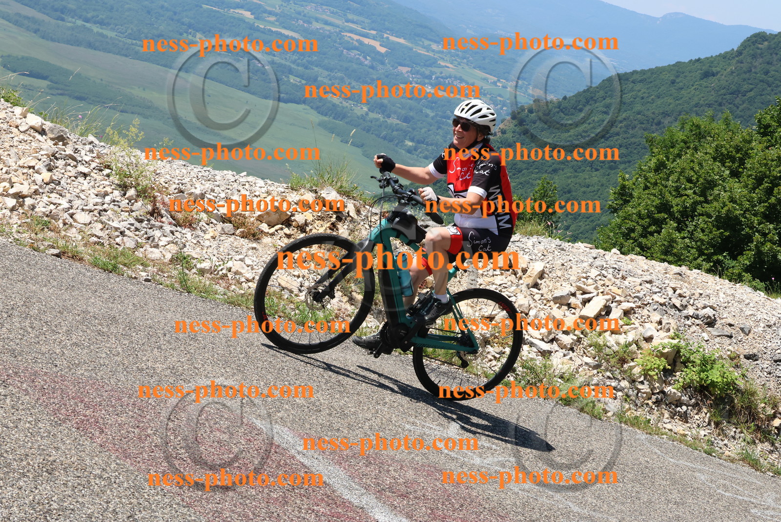 Col du Grand Colombier (483).JPG