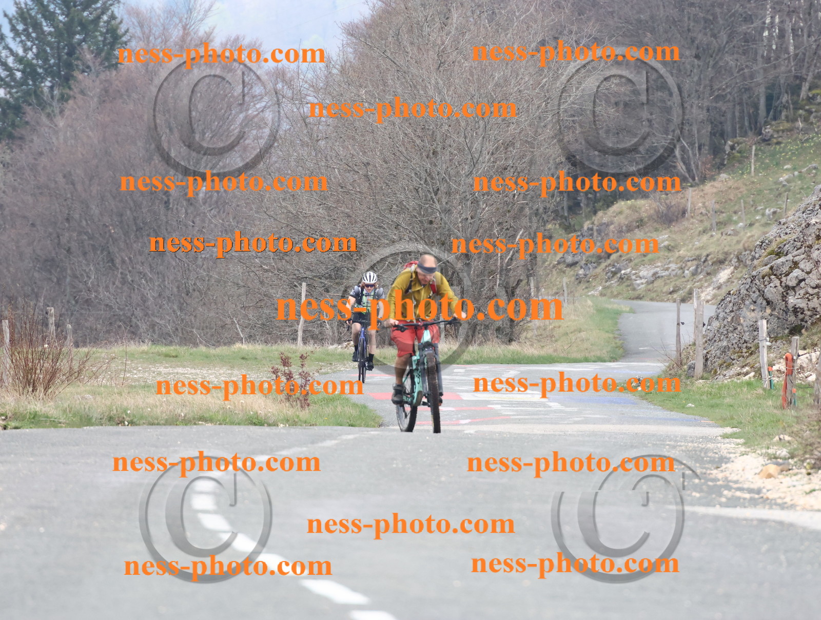 Col du Grand Colombier (77).JPG