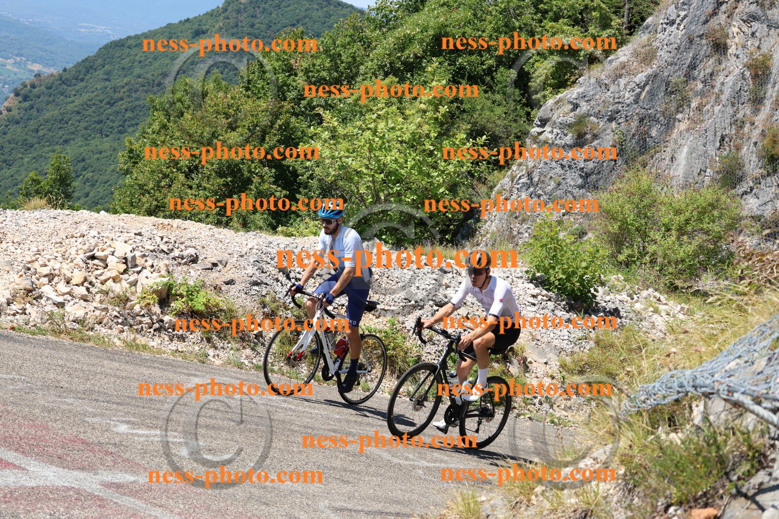 Col du Grand Colombier (2530).JPG