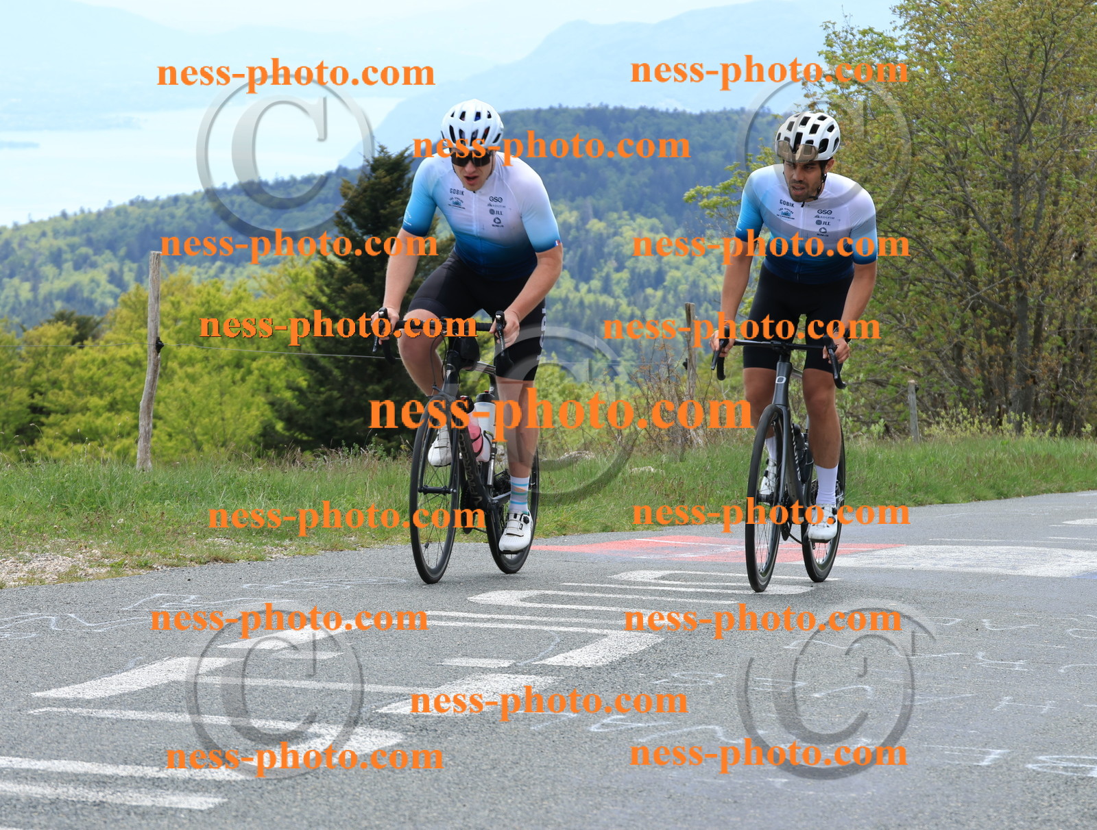 Col du Grand Colombier (472).JPG