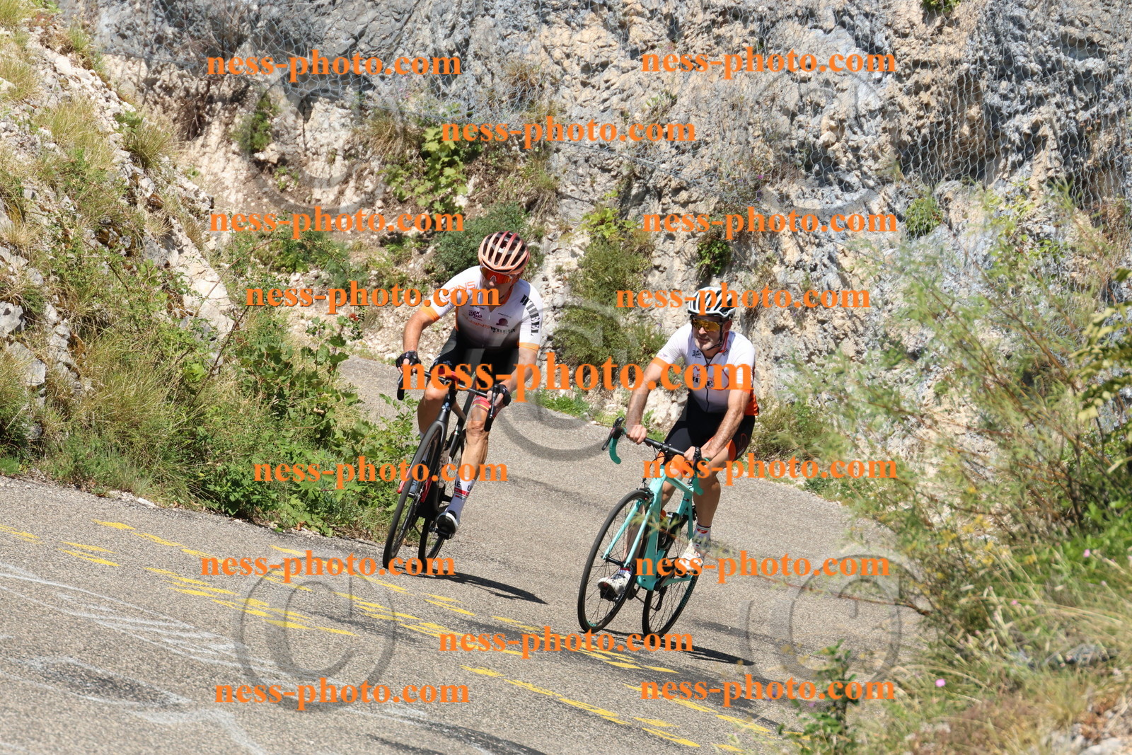 Col du Grand Colombier (445).JPG