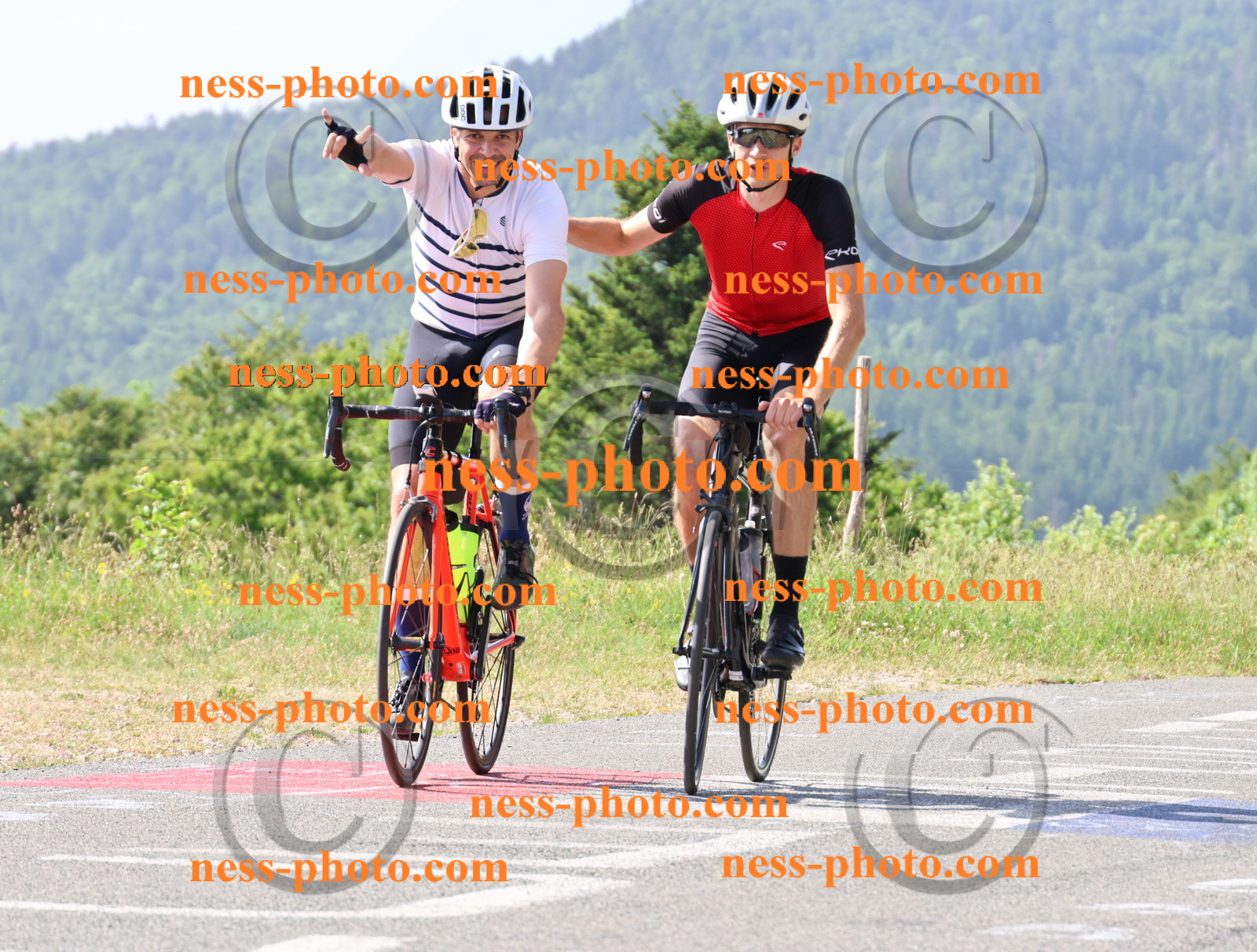 Col du grand Colombier (328).JPG