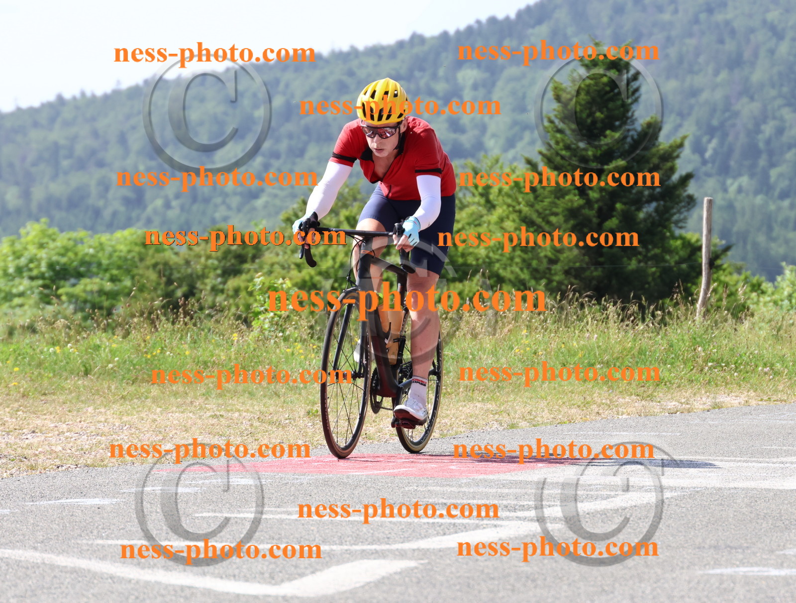 Col du grand Colombier (743).JPG