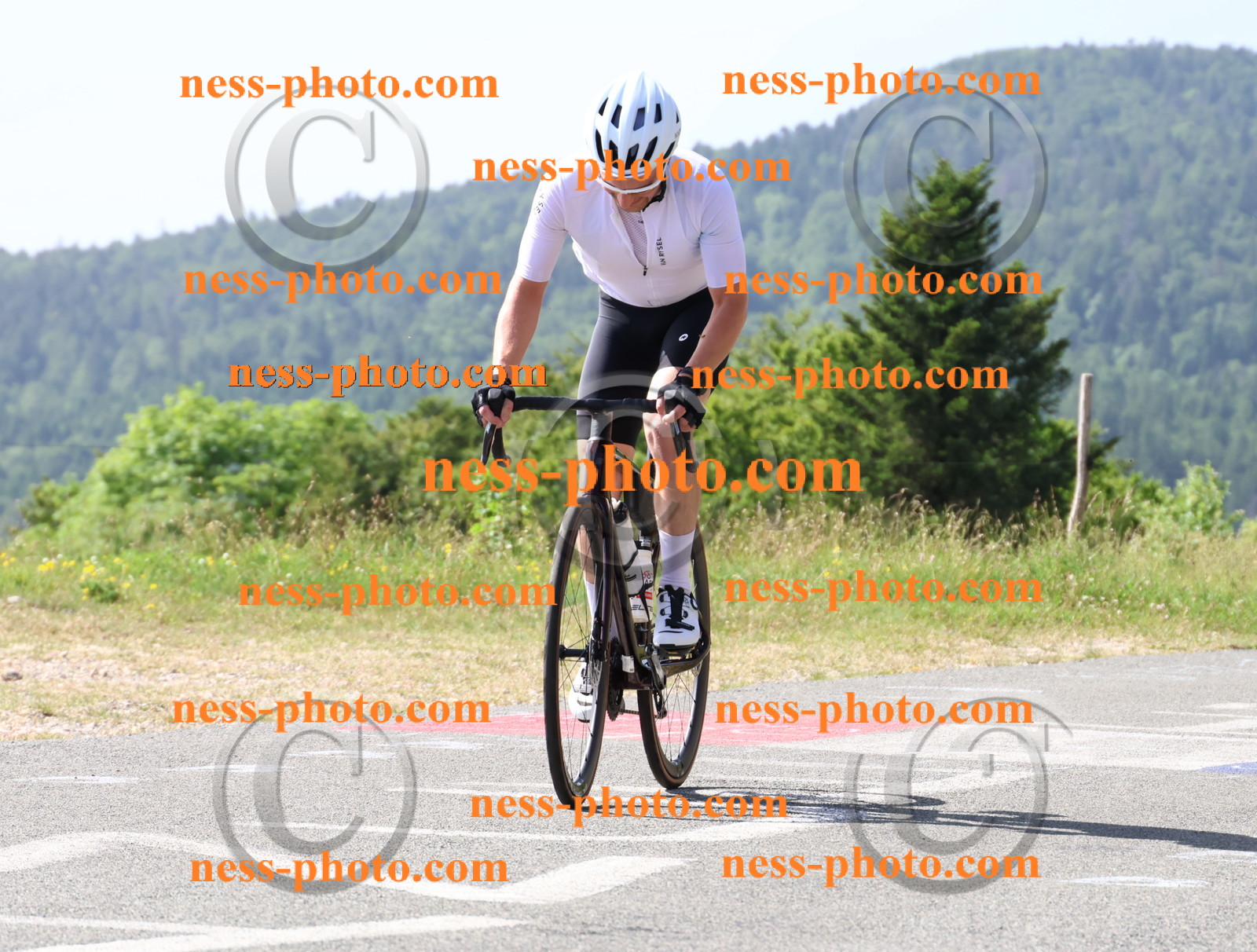 Col du grand Colombier (624).JPG