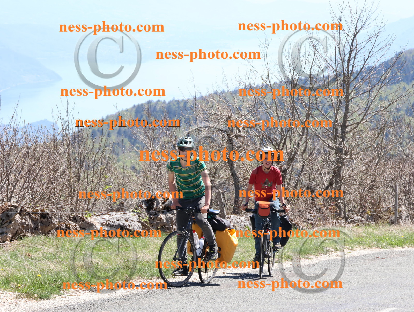 Col du Grand Colombier (814).JPG