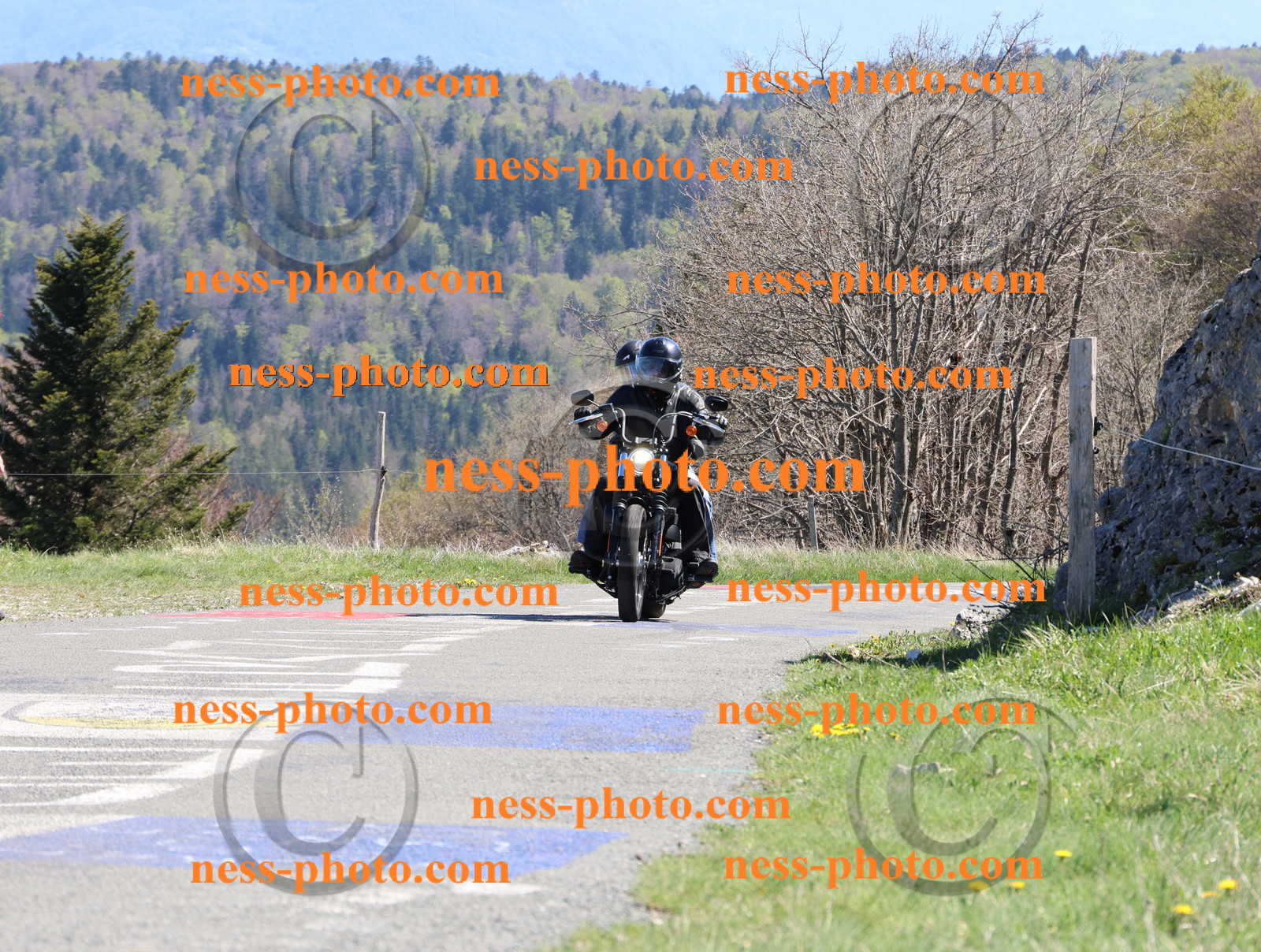 Col du Grand Colombier (361).JPG