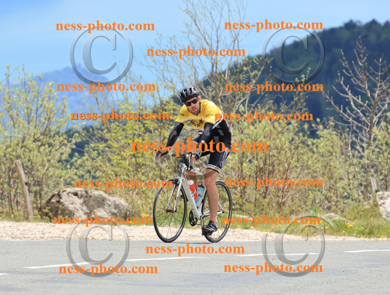 Col du grand Colombier (530).JPG