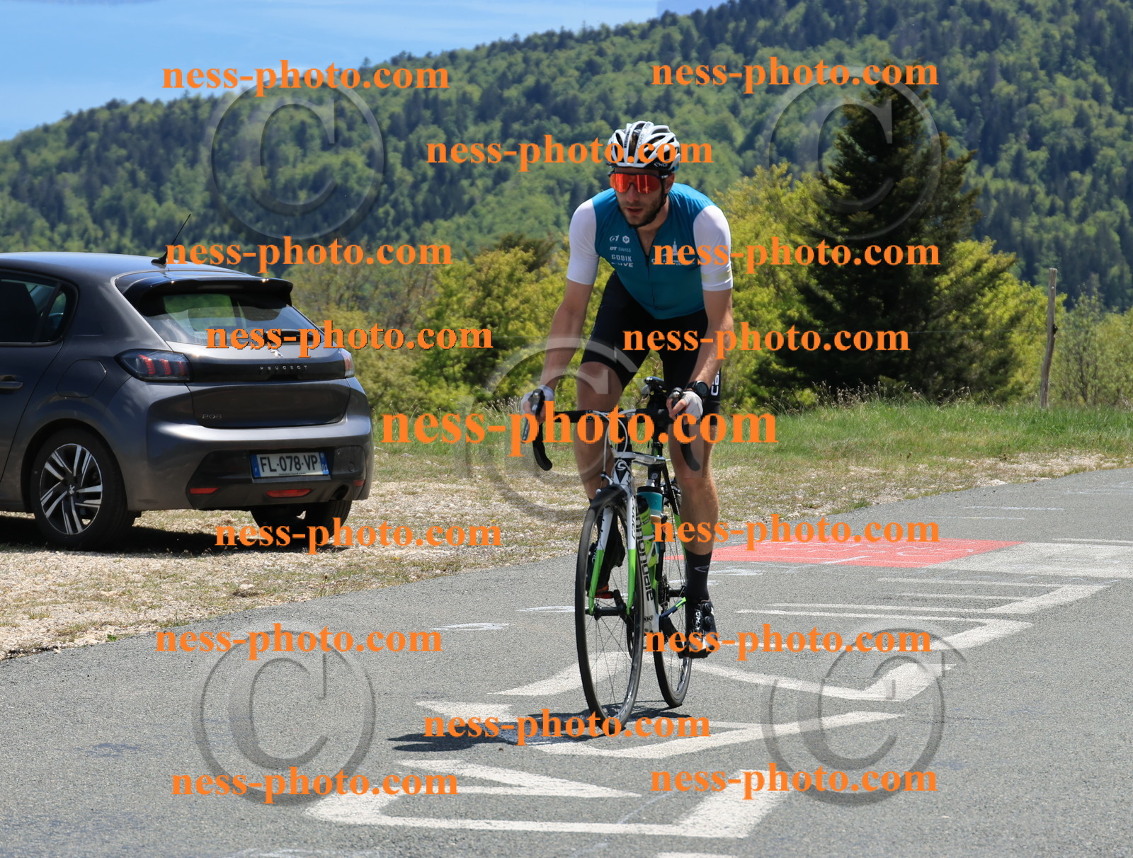 Col du Grand Colombier (495).JPG