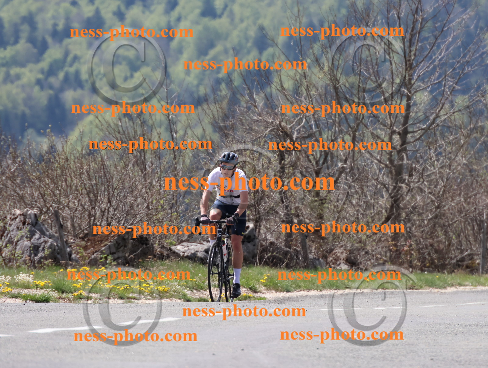 Col du Grand Colombier (1).JPG